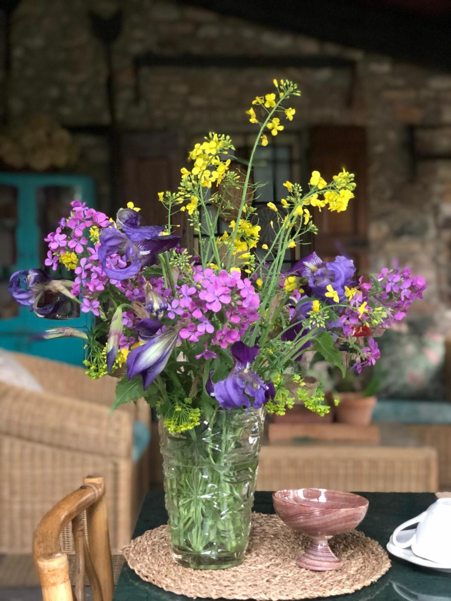 B&B Cascina Mattarelle Monzambano Dış mekan fotoğraf