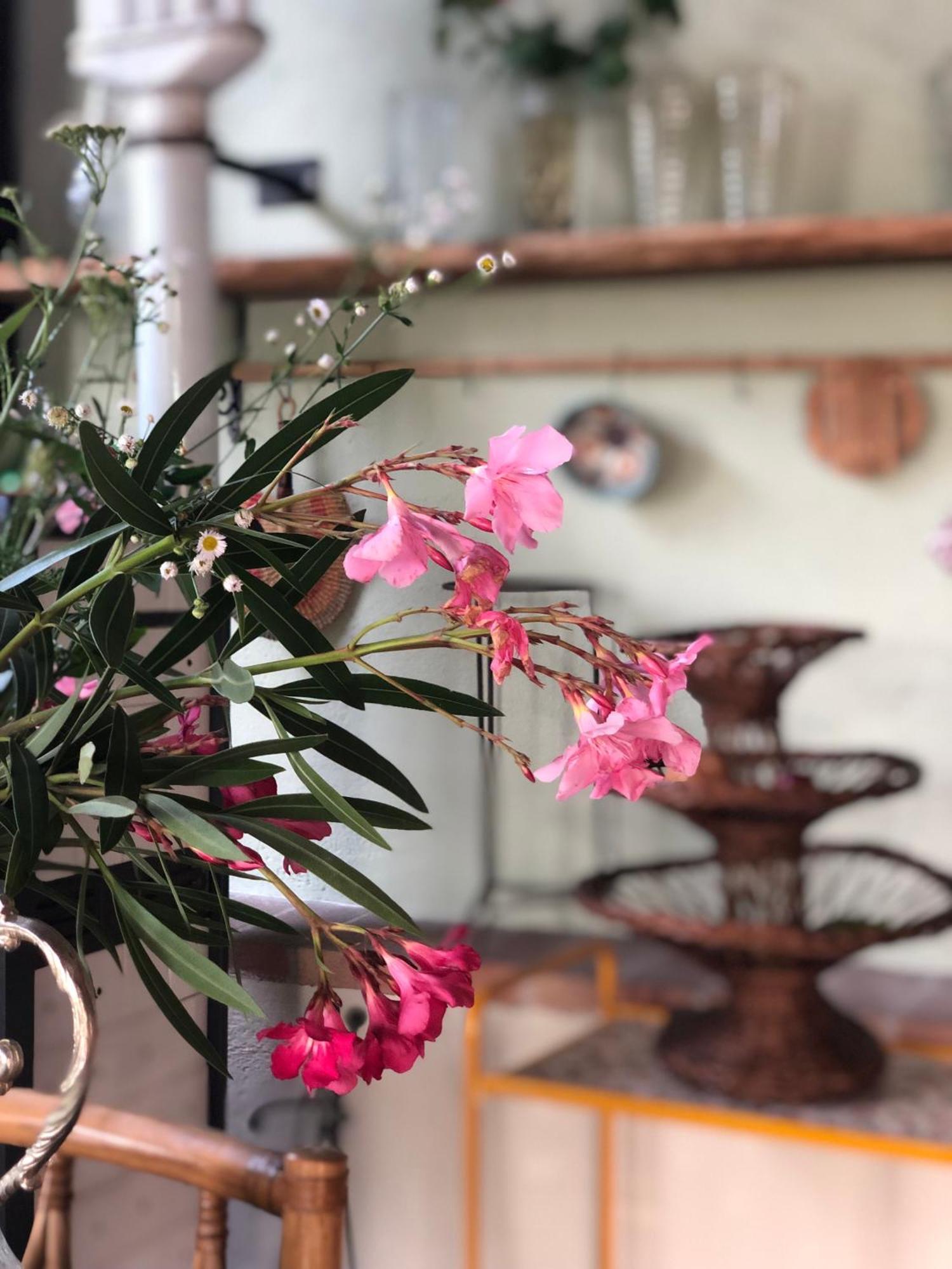 B&B Cascina Mattarelle Monzambano Dış mekan fotoğraf