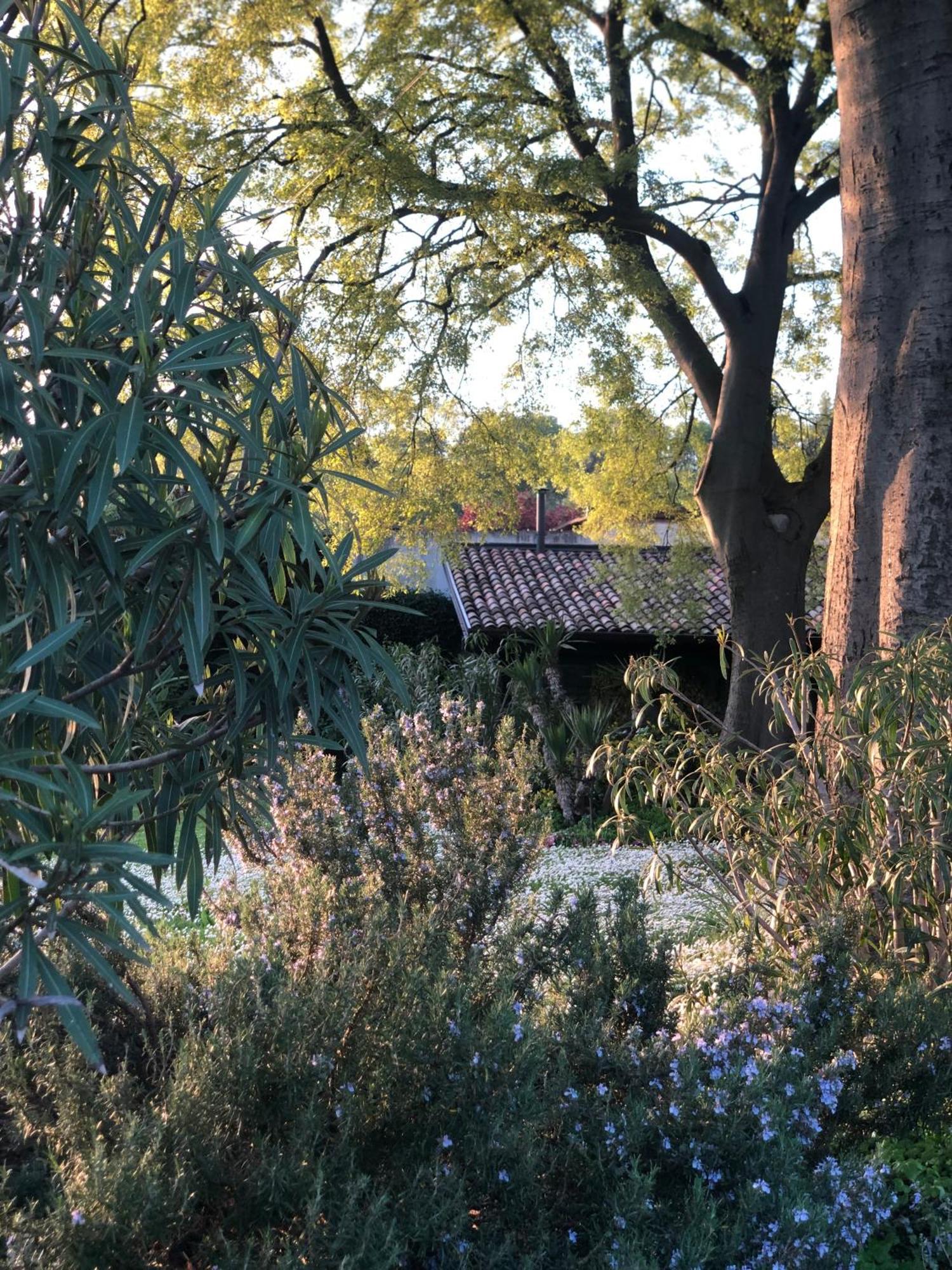 B&B Cascina Mattarelle Monzambano Dış mekan fotoğraf